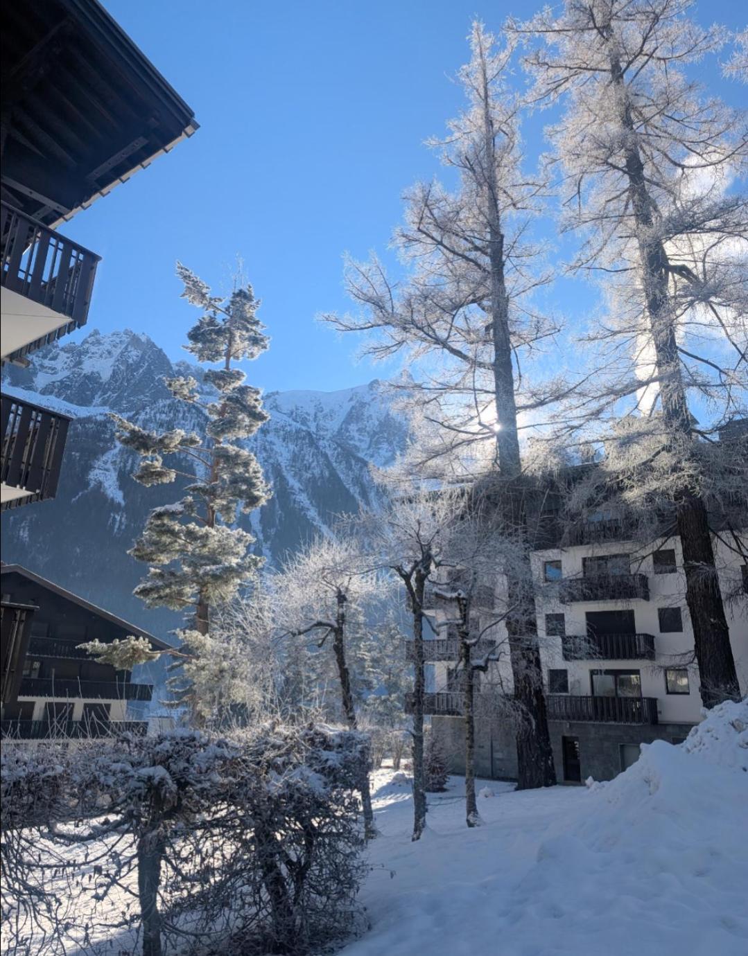 Au Petit Bois Apartment Chamonix ภายนอก รูปภาพ